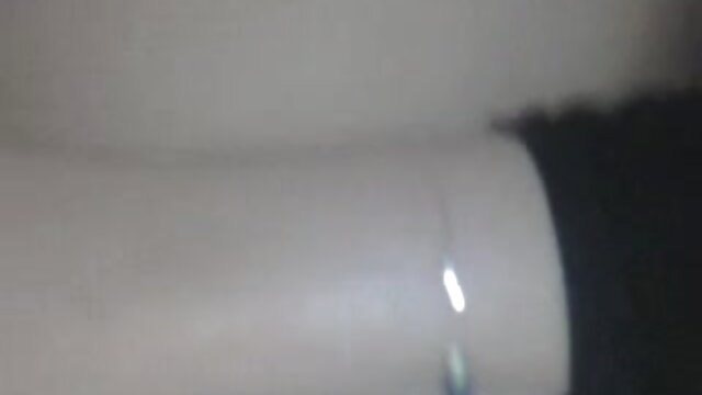 Neverjetno :  Video kratkodlake kanadske psice, ki trenira luknje za jebanje Filmski odlomki 