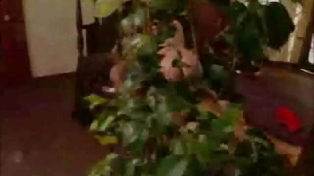 Neverjetno :  Umazana šolarka ima spolni odnos s svojim profesorjem Filmski odlomki 