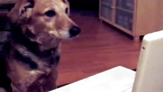 Neverjetno :  Prilagodljiva Japonka zagotovo ve, kako vaditi odličen seks Filmski odlomki 