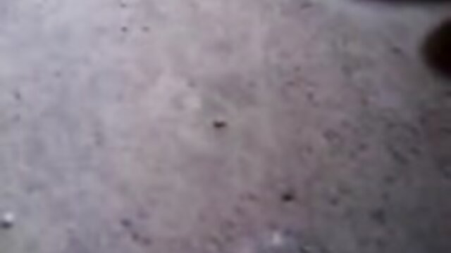 Neverjetno :  Strastni kunec poje čudovito mlado muco Filmski odlomki 