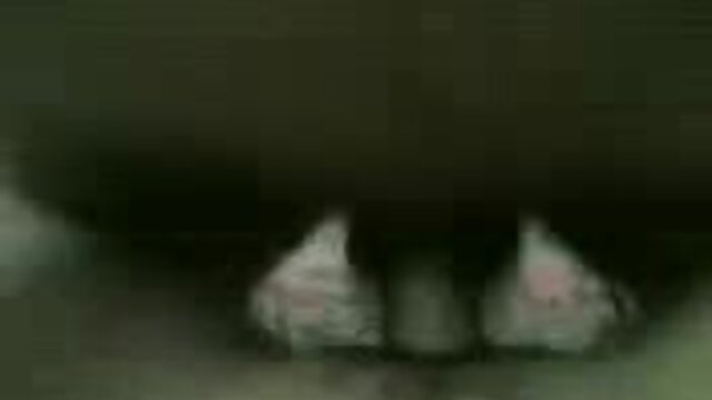 Neverjetno :  Pohojena puma je gradbenega delavca pobrala z ulice Filmski odlomki 